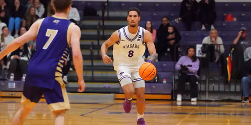 Parking Niagara Purple Eagles at Quinnipiac Bobcats Mens Basketball