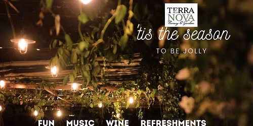 Enchanting Evening Under the Stars