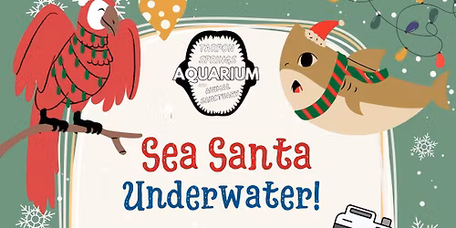 Sea Santa Underwater! \ud83c\udf85\ud83e\udd3f