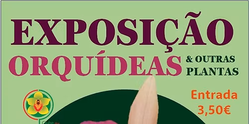 EXPOSI\u00c7\u00c3O DE ORQU\u00cdDEAS E OUTRAS PLANTAS