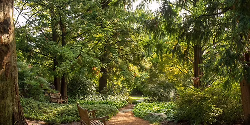 Earth Day Celebration