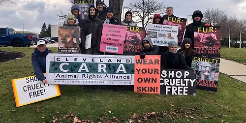 Free the Animals Friday (aka Cruelty-Free Friday) 2025