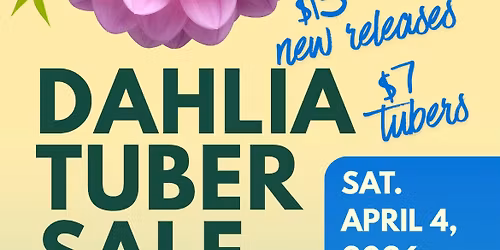 Whatcom County Dahlia Society Tuber Sale!