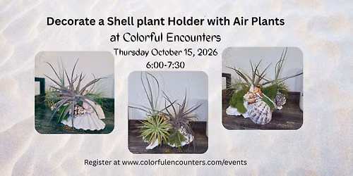 Decorate a Shell plant Holder with Air Plants at Colorful Encounters