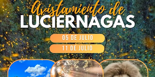 \u27a1\ufe0f\u203c\ufe0fLUCI\u00c9RNAGAS, ZOOL\u00d3GICO DEL ALTIPLANO Y RANCHO DE LAVANDA \u203c\ufe0f\u2b05\ufe0f