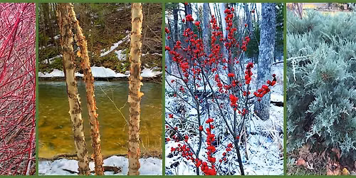 Learn to Grow: 'Winter Gardening- Aiming for Year-Round Appeal'