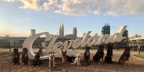 Sunday Funday Pack Walk