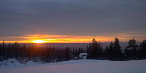 5-8 February 2026, Oslo: SE-Masterclass: Grief, Joy and the Return to your Authentic Self.