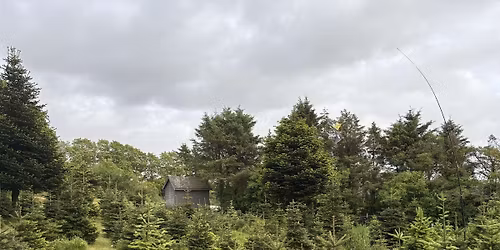 Juletrefest p\u00e5 S\u00f8yland