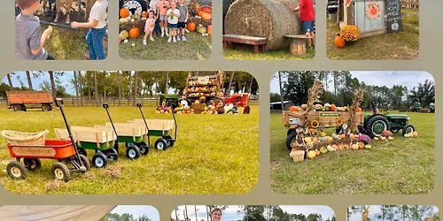 The Peach Shed- October Market & Pumpkin Patch \ud83c\udf83