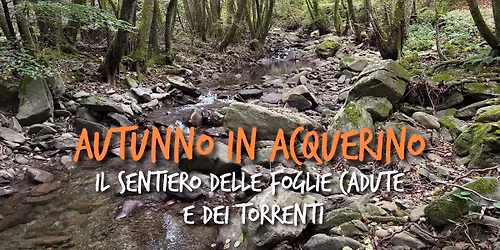 Autunno in Acquerino: il sentiero delle foglie cadute e dei torrenti \ud83c\udf42\u2728