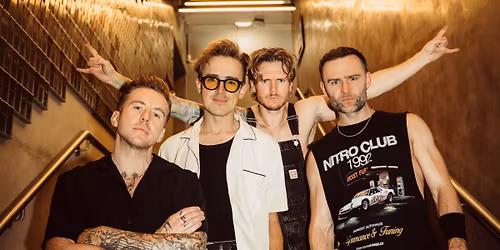 McFly Live at Cannock Chase Forest