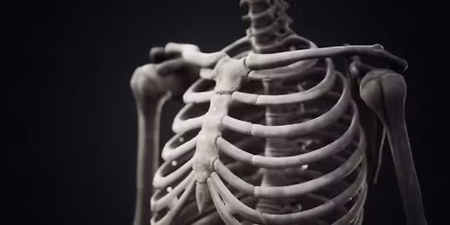 Klatka piersiowa, kr\u0119gos\u0142up i oddychanie 