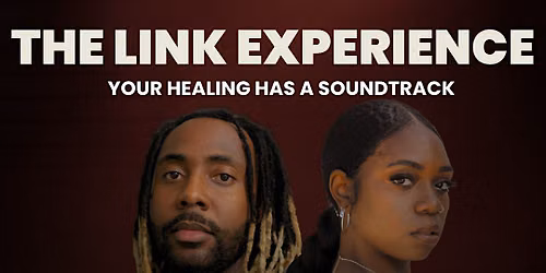 THE LINK EXPERIENCE