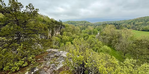 Spring at Ninestone Land Trust (RSVP by email)