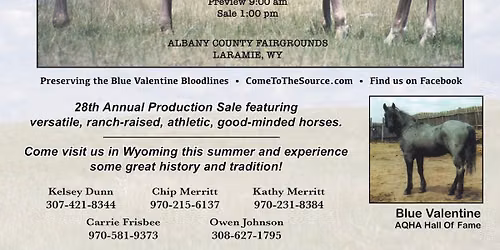 28th Annual Come To The Source Horse Sale