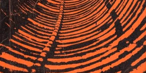 Eaten By Kittens, Sudden Middle-Aged Death Syndrome, Cincinnati Beer Gut!