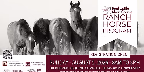 TAMU Ranch Horse Program