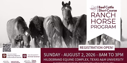 TAMU Ranch Horse Program