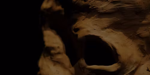 \u201cTermitarium\u201d \u2013 A Response by Rui Inaba