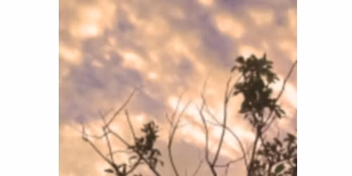 Ali Ai Ligang Festival