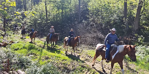 Borderland\/ Ore Mountains Horseback Trail