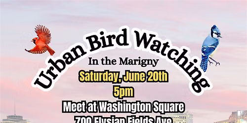 Urban Bird Watching in the Marigny-6\/20
