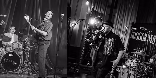 Romjulskro med The Hoggorms & Villskudd