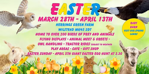 Father's Day Gents Afternoon Tea Experience 20th & 21st June - 11.30 & 1PM