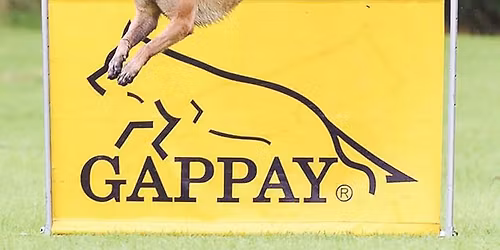 Dobbelt RIK-STEVNE 15.-16. november 2025 BH-VT IBGH1-3 ( IBGH3 Spesial)