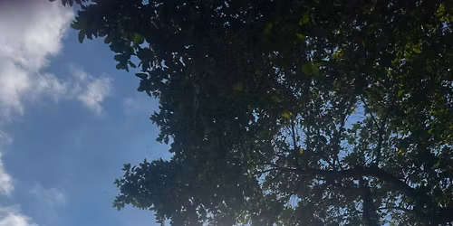 Stone, Sound & Stillness April