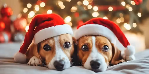 November Teenager\/Beginner Training Class