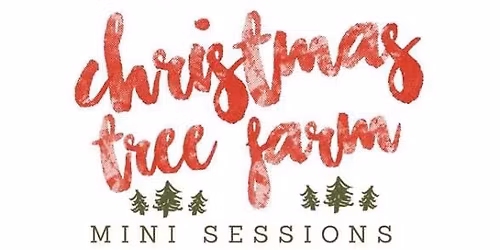 Christmas Tree Farm Mini Sessions