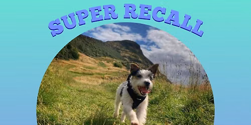 Super Recall and Loose Lead Walking