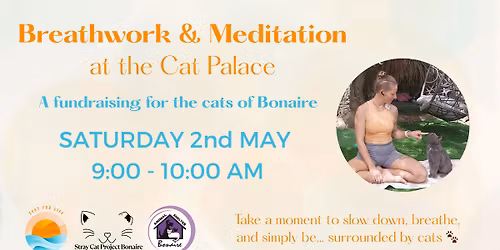 Cat Wellness Fundraising - Breathwork & Meditation at the Cat Palace