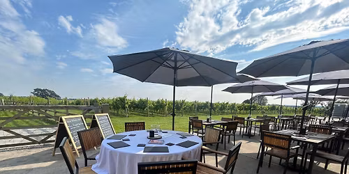 Vineyard Picnic with Tour