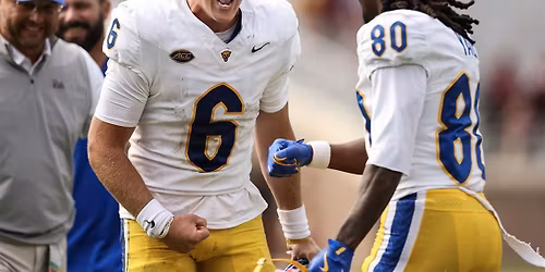 Pittsburgh Panthers at Florida State Seminoles Mens Baseball at Dick Howser Stadium