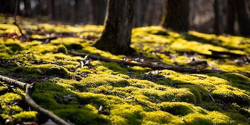 Spring Has Sprung Hike