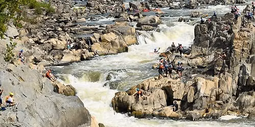 2026 Great Falls Race & Potomac Festival Picnic