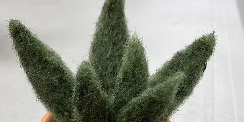 Needle-Felted Potted Plant or Flowers at Yarn & Honey
