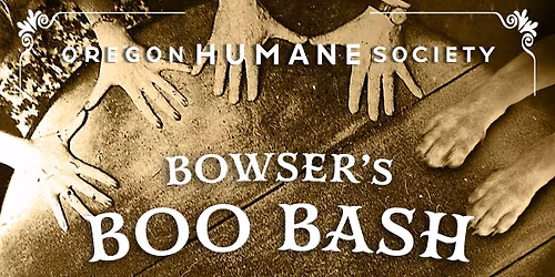 Bowser’s Boo Bash 