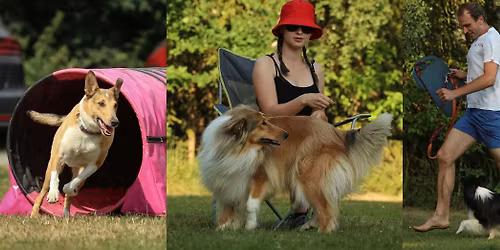 L\u00e9to s Lassie ve V\u011bt\u0159kovic\u00edch- t\u00e1bor pro kolie a \u0161eltie 2026 - 21.ro\u010dn\u00edk