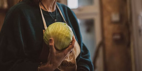 Fermentation and Gut Health Workshop