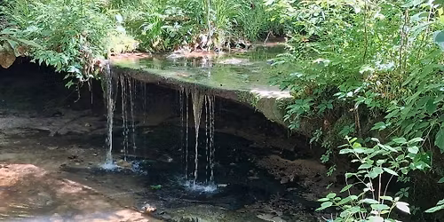 Smooth As Silk Qigong