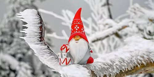 Nikolaus bei Karin Coppola