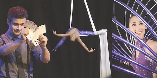 Colorful Hat Circus & Variety | Evans GA