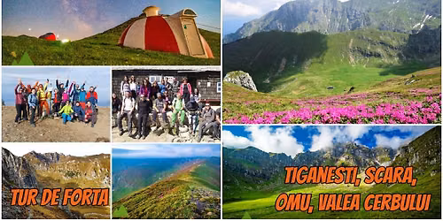 Tur de for\u021b\u0103 - \u021aig\u0103ne\u0219ti, Scara, Omu, Valea Cerbului