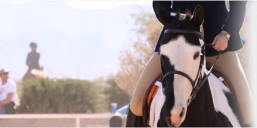 7 Counties Paint Horse Show 2026