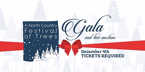 Gala and Live Auction