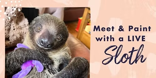 Paint with a LIVE Sloth